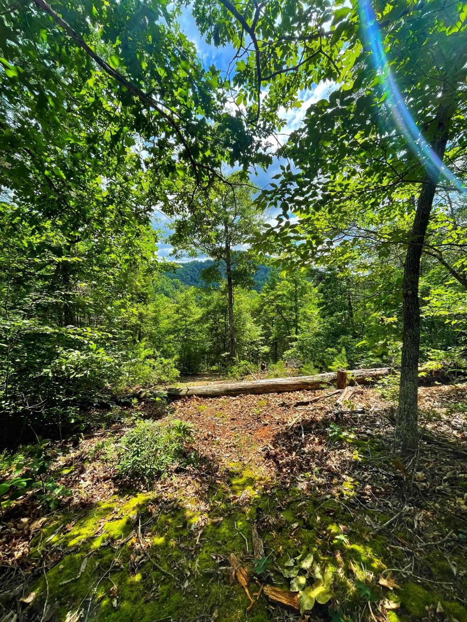 Vila Tiny House, Wifi,Hot Tub,Secluded Cosby Exteriér fotografie