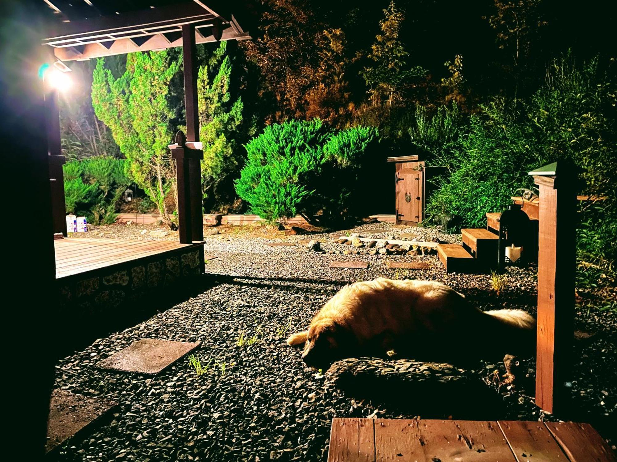 Vila Tiny House, Wifi,Hot Tub,Secluded Cosby Exteriér fotografie