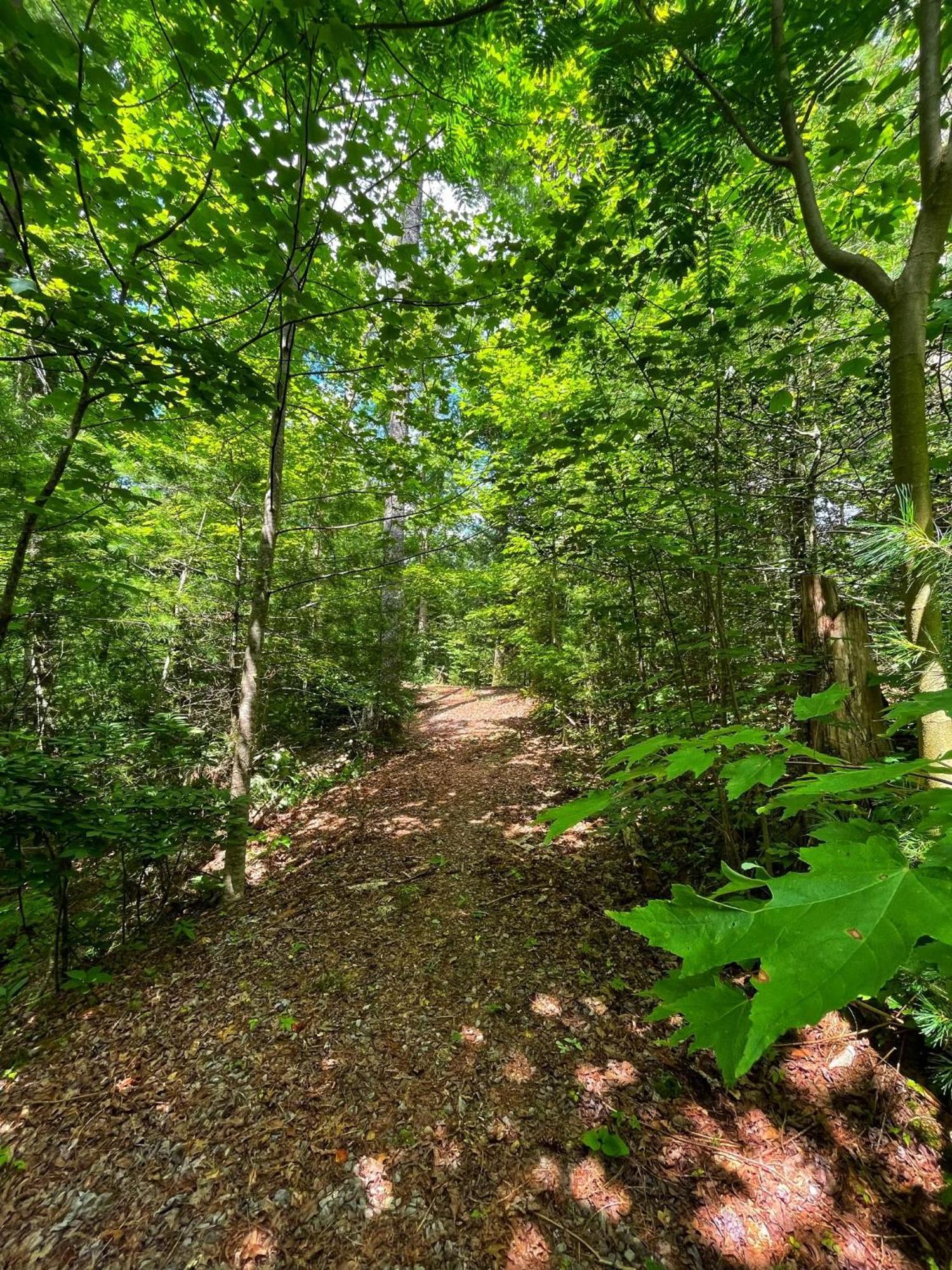 Vila Tiny House, Wifi,Hot Tub,Secluded Cosby Exteriér fotografie