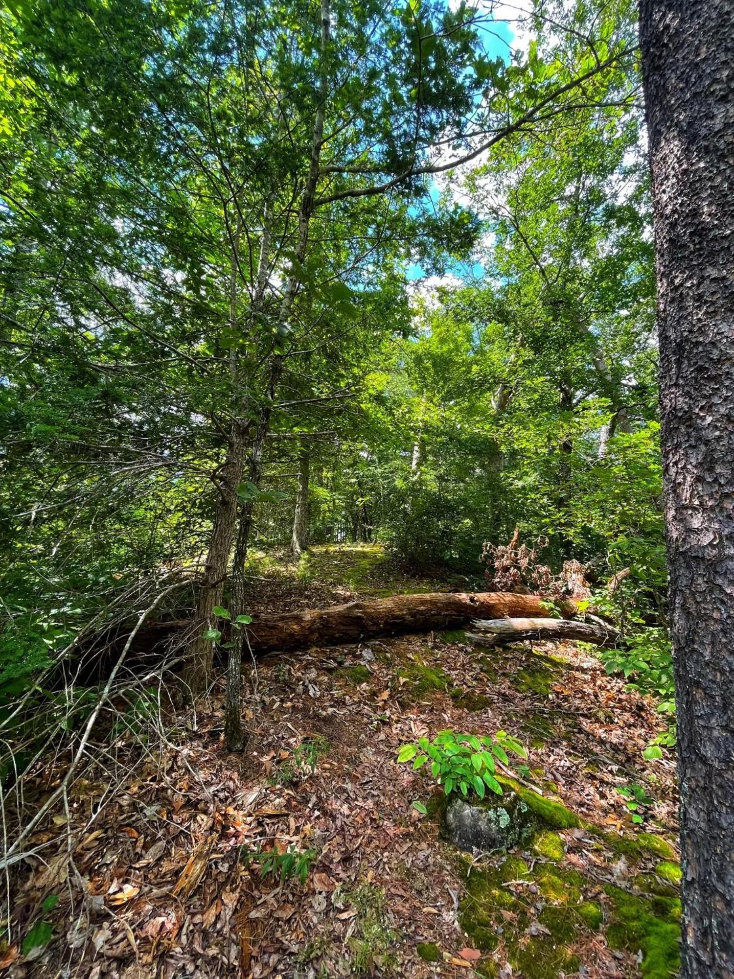 Vila Tiny House, Wifi,Hot Tub,Secluded Cosby Exteriér fotografie