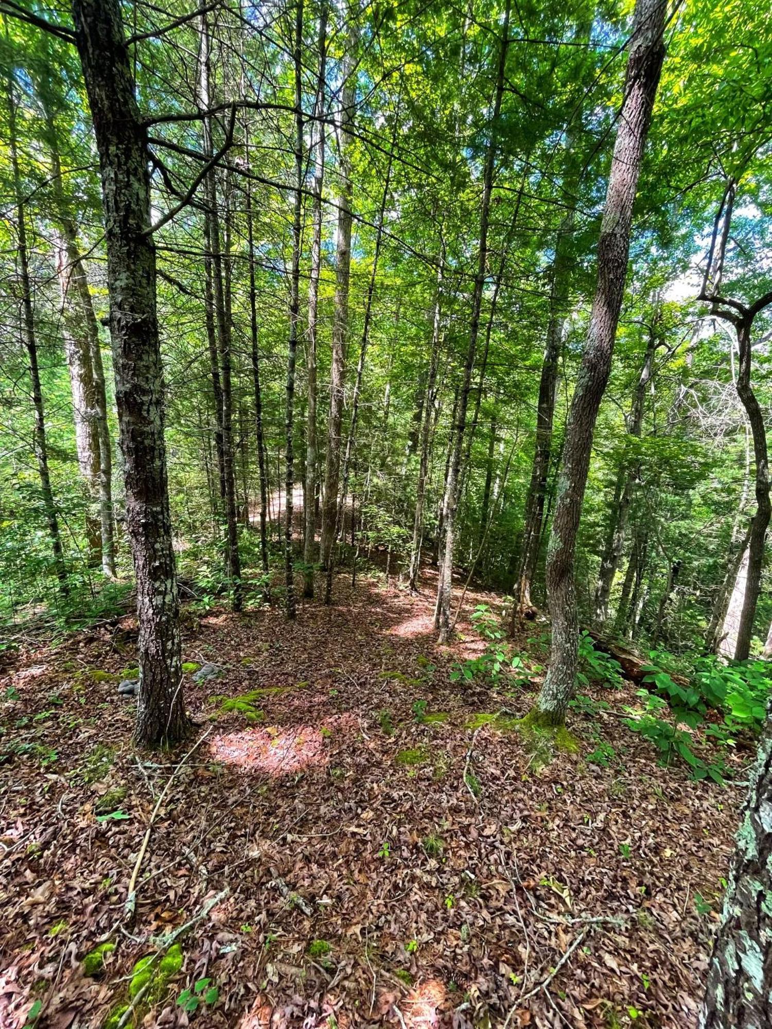 Vila Tiny House, Wifi,Hot Tub,Secluded Cosby Exteriér fotografie