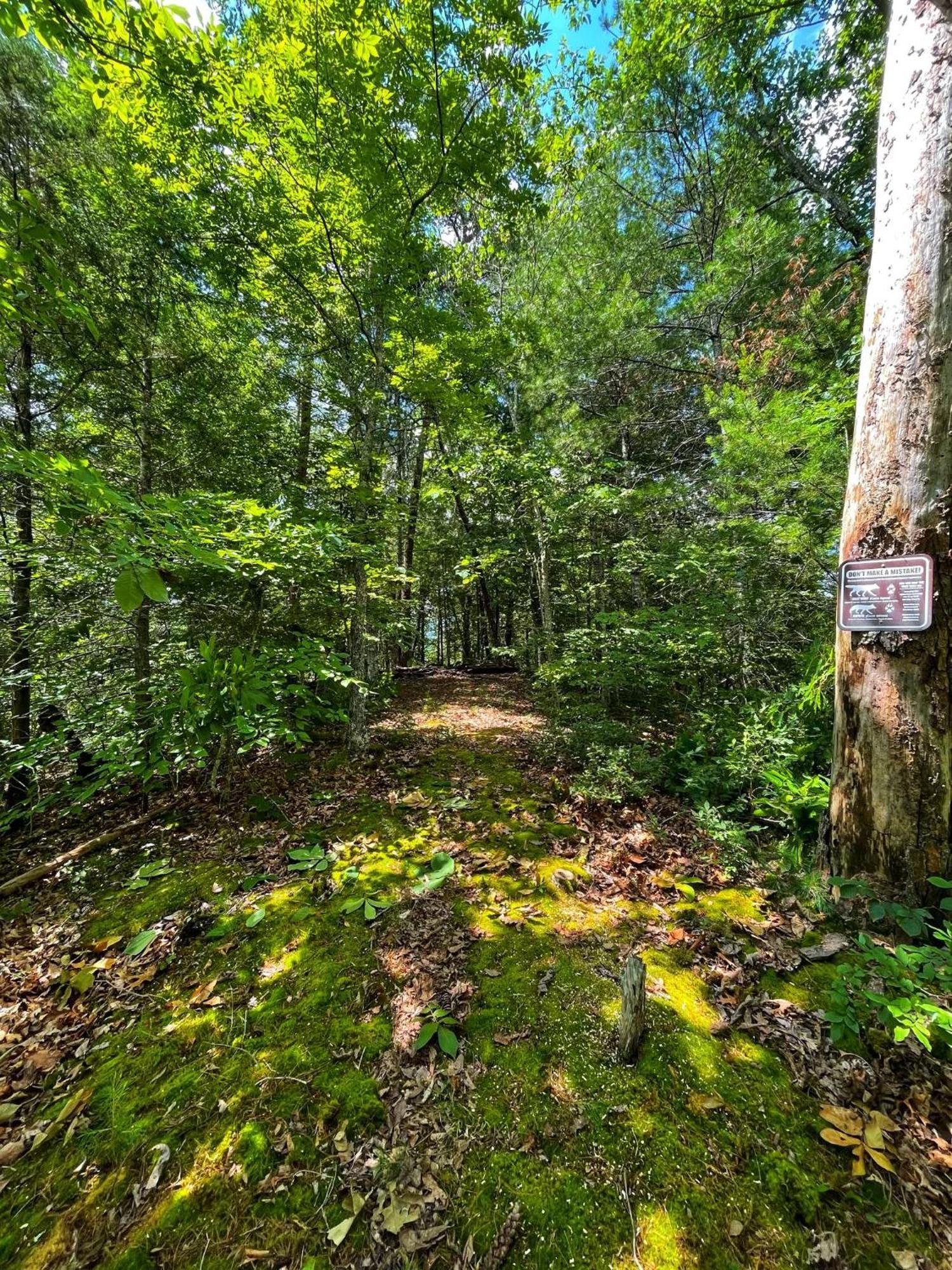 Vila Tiny House, Wifi,Hot Tub,Secluded Cosby Exteriér fotografie