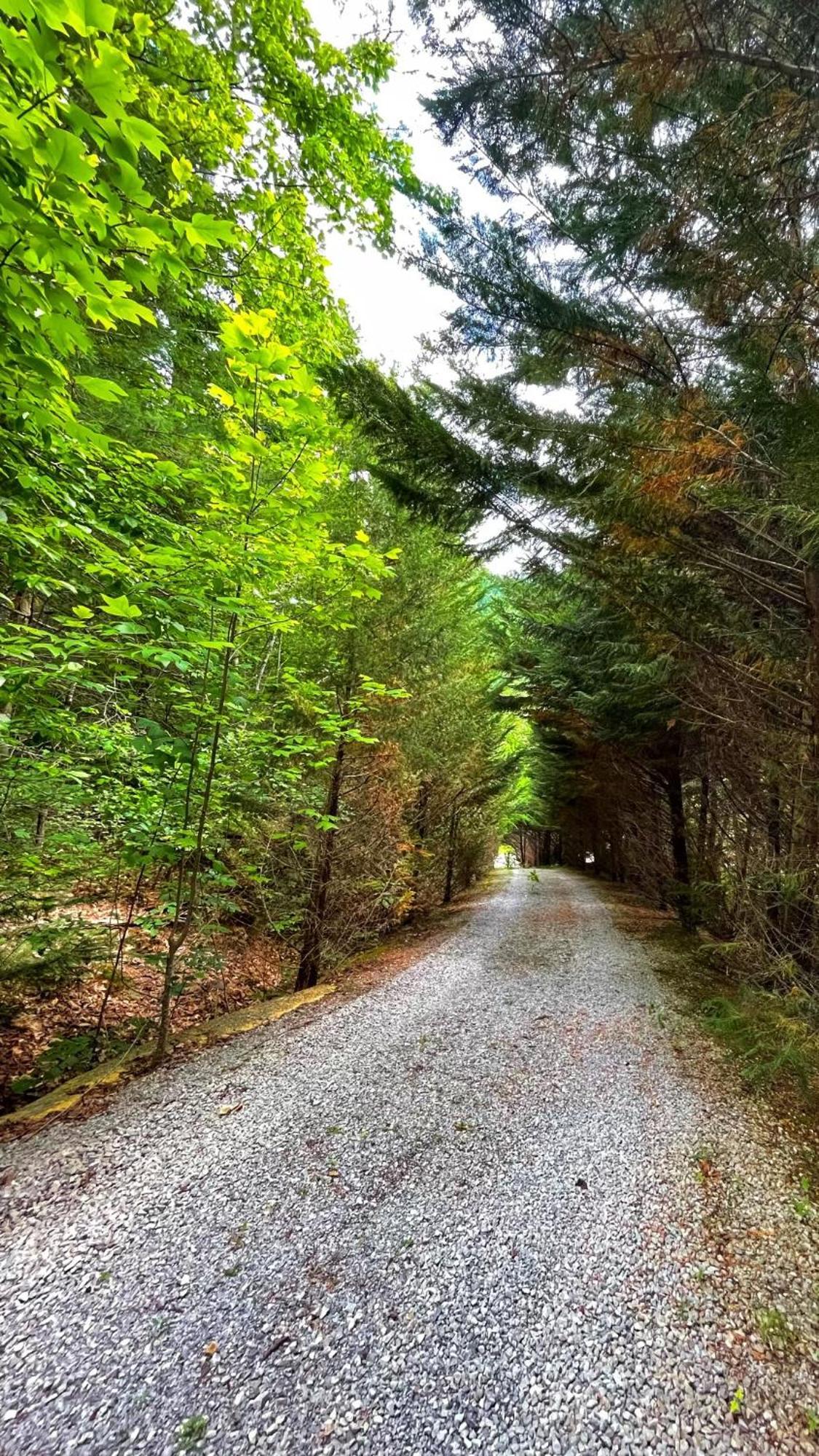 Vila Tiny House, Wifi,Hot Tub,Secluded Cosby Exteriér fotografie