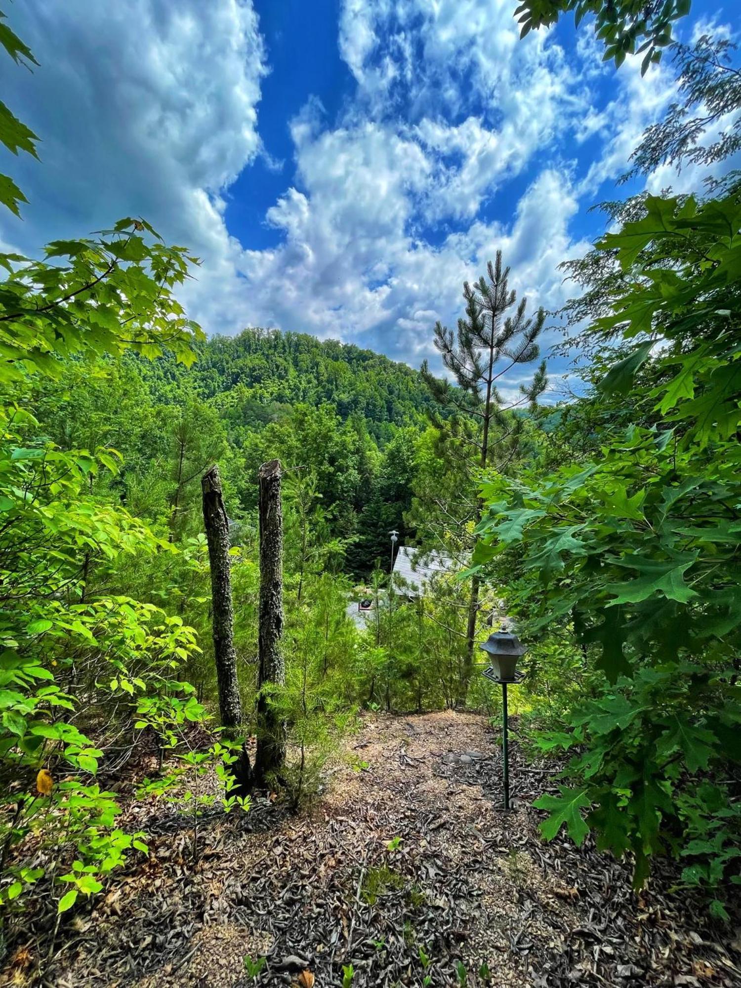 Vila Tiny House, Wifi,Hot Tub,Secluded Cosby Exteriér fotografie