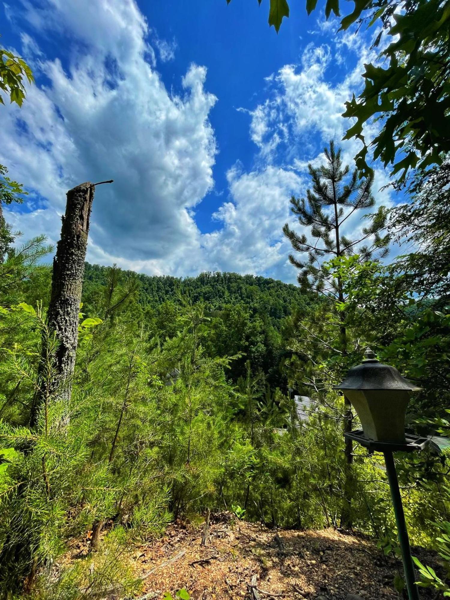 Vila Tiny House, Wifi,Hot Tub,Secluded Cosby Exteriér fotografie