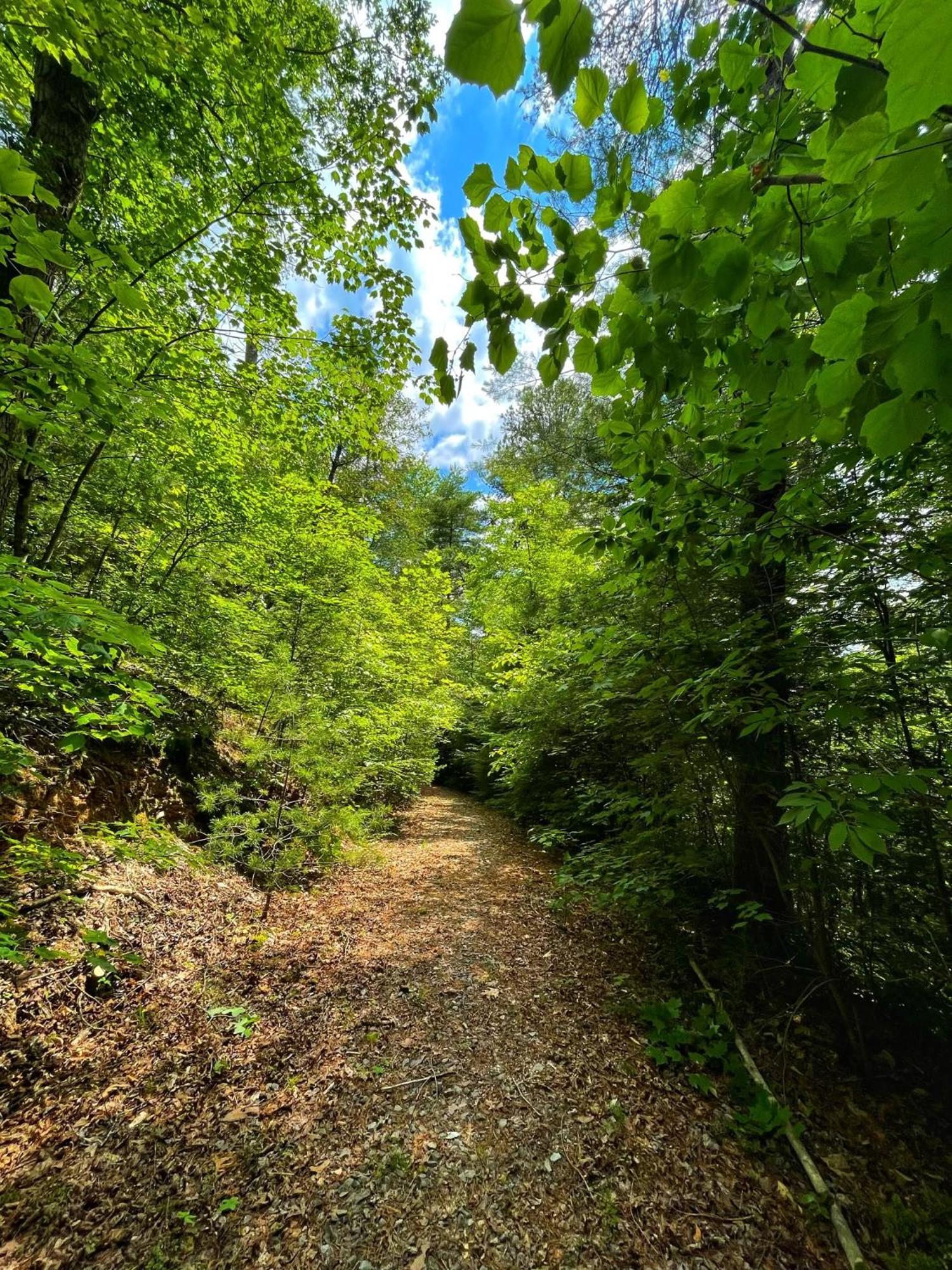 Vila Tiny House, Wifi,Hot Tub,Secluded Cosby Exteriér fotografie